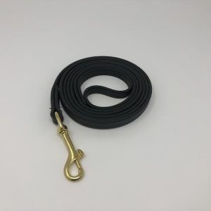 Training Leash